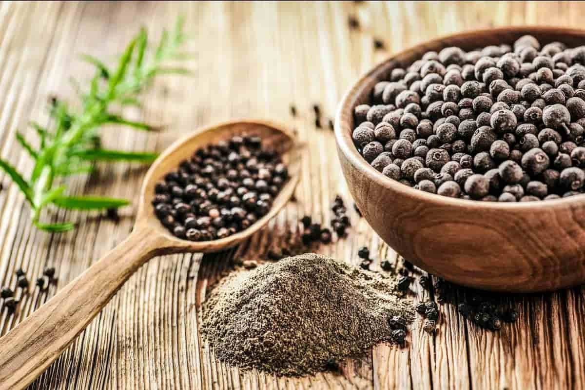 تصویر 3 از قیمت خرید پودر فلفل سیاه + فروش ویژه
